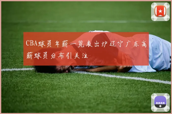 CBA球员年薪一览表出炉辽宁广东高薪球员分布引关注