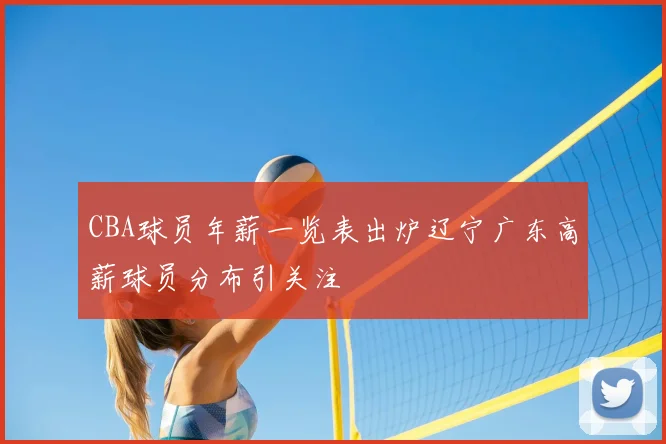 CBA球员年薪一览表出炉辽宁广东高薪球员分布引关注