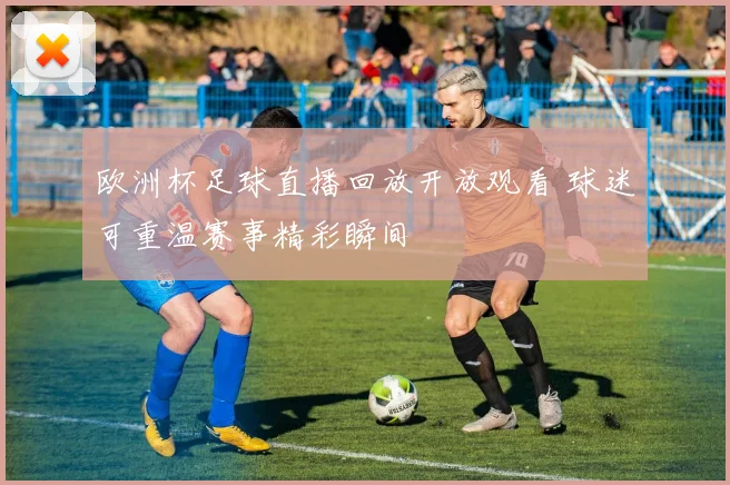 欧洲杯足球直播回放开放观看 球迷可重温赛事精彩瞬间