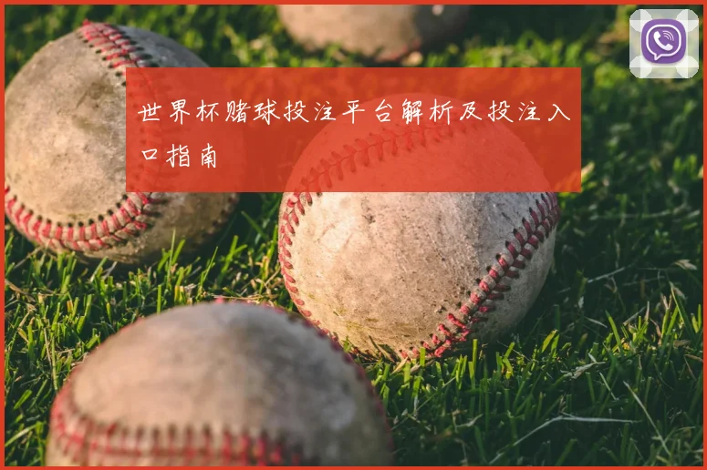 世界杯赌球投注平台解析及投注入口指南